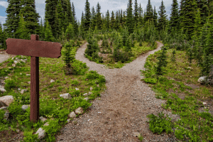 perte de sens et de direction perte de sens et de direction